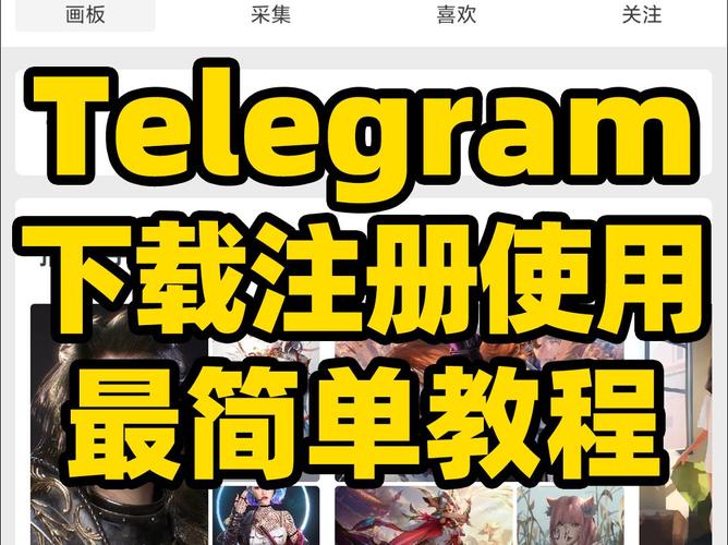 纸飞机telegram网页版member中文